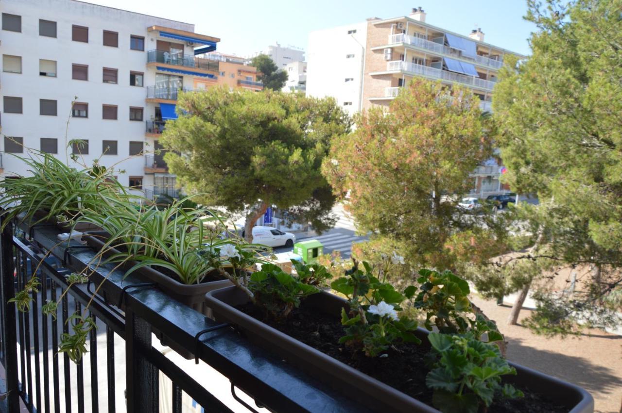 Habitaciones Compartidas En Un Apartamento 살루 외부 사진
