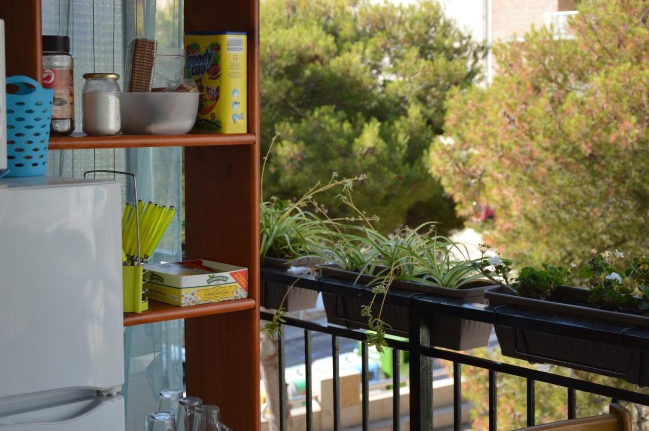 Habitaciones Compartidas En Un Apartamento 살루 외부 사진