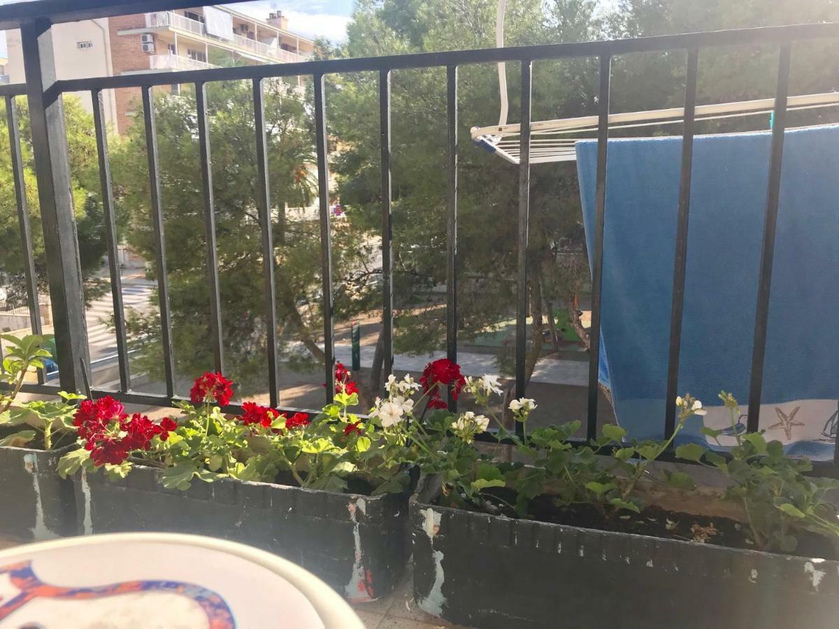 Habitaciones Compartidas En Un Apartamento 살루 외부 사진