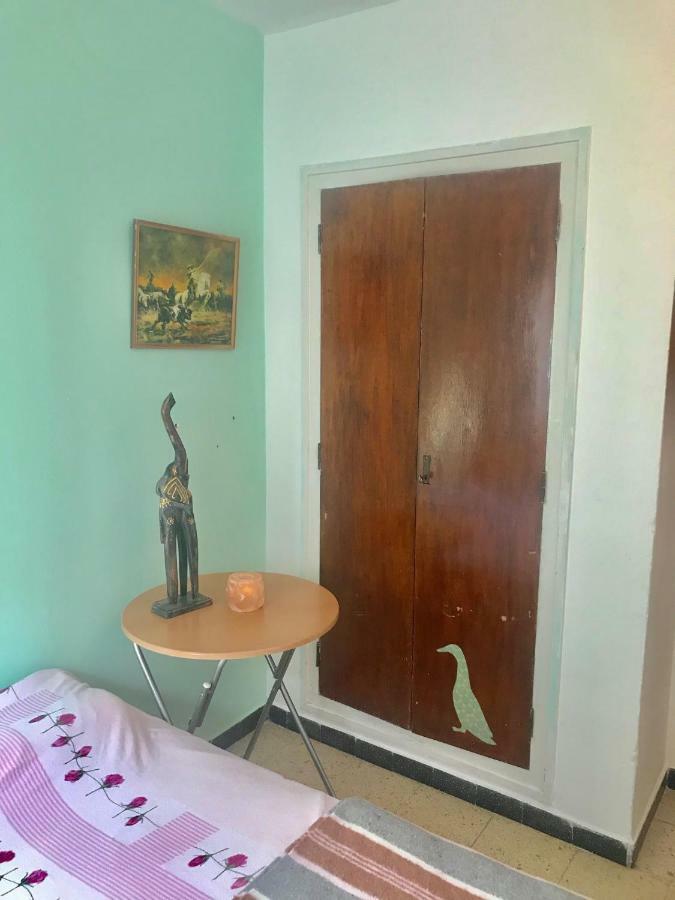 Habitaciones Compartidas En Un Apartamento 살루 외부 사진